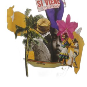 Venezuela Si Vienes Lo Entiendes Blanco Collage Orquidea